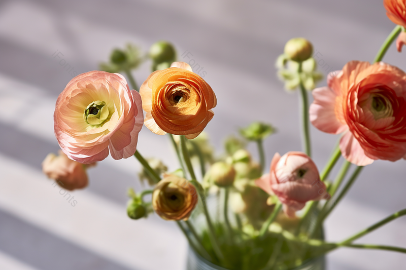 唯美花瓣花卉植物风景摄影壁纸,高清,摄影图,摄影图片,图片大全,摄影图免费下载